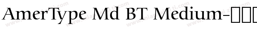 AmerType Md BT Medium字体转换